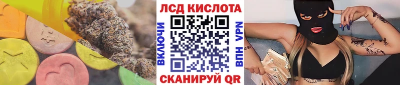 Лсд 25 экстази ecstasy  Купить закладки  Злынка 