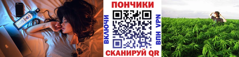 Канабис AK-47  Купить закладки  Злынка 